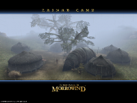 zainab_camp_wp-200